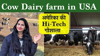 Dairy Farm In USA | अमेरिका की गाय कितना दूध देती है | Cow Milk Production Machine In USA