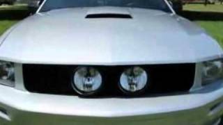 2008 Ford Mustang 2dr Cpe GT Premium Coupe - Miami, FL