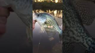 Your crappie if u part 2