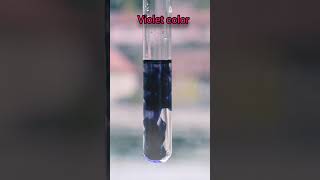 Characteristic test for Phenol #shorts #youtubeshorts #ytshorts  #njoyscience #viral