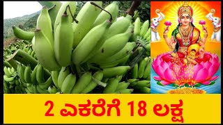 2 ಎಕರೆಗೆ 18 ಲಕ್ಷ ರೂ.ವರೆಗೆ ಲಾಭ, Farmer Dilip 9036510651 Banana Farming