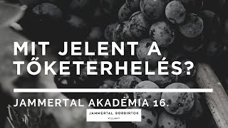 Mit jelent a tőketerhelés? Jammertal Akadémia 16. rész