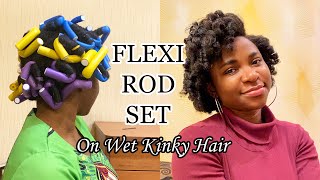 FLEXI ROD SET TUTORIAL ON WET NATURAL HAIR with One Styling Product| *Detailed How To*| Yaa Dodouwa