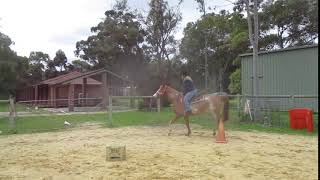 Marcia riding Kyella , a Quarter Horse