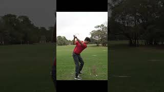 My goodness this is great! Best advice for a consistent swing.