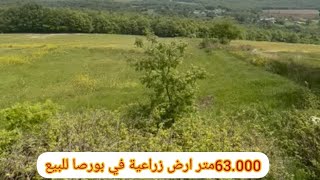 63.000متر ارض زراعية للبيع #في #بورصا #تركيا (تم البيع)