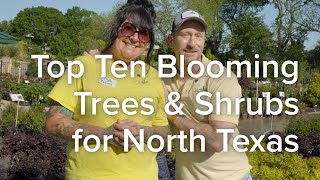 Let's Grow Together: Top Ten Blooming Trees & Shrubs for North Texas