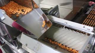 Packaging Process of Tablets