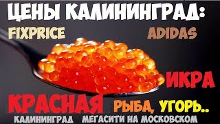 Цены Калининград 2019: Красная икра, угорь, adidas, fixprice, мясо. Сити на московском.