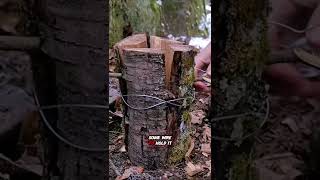 The Ultimate DIY Firewood Stove 🍺🔥