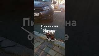 Пикник на обочине дороги #все #юмор #полное #рецепт #рецепты #automobile #прикол #время