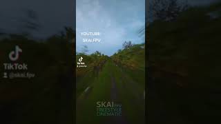 Speed junkie FPV #fpv #love #viral #drone