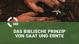 Das biblische Prinzip von Saat und Ernte“- Predigt von Gemeindepastor Dr. Heinrich Klassen