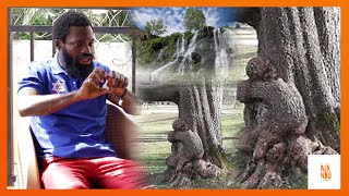 Mysterious; Nyansabuakwa Reveals Strange Things About Nature And How It Communicates To Mankind…….