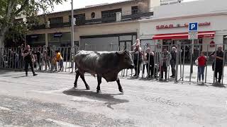 Lâcher de toros espagnol Arles le 22 avril 2019