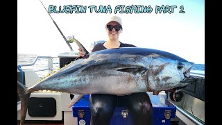 Bluefin fishing trip part2