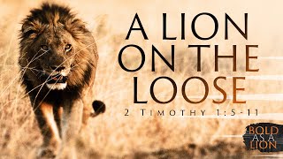 A Lion on the Loose - Pastor Jeff Schreve