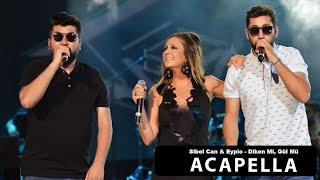 Sibel Can & Eypio - Diken Mi, Gül Mü Acapella ( Müziksiz Vokal ) + Şarkı Sözleri