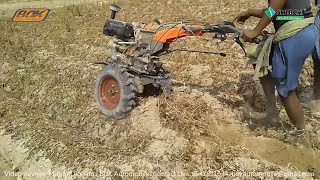 Potato Digging. by Mini Tiller | আলু তাড়ার মেসিন।