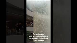 world biggest indoor water fall@changiairport @WaterfallAcrylics