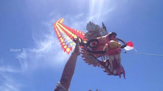 Menerbangkan layangan naga 50 meter ||festival layang-layang dragon kites