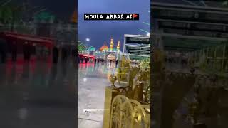 Saqa E Haram Moula Abbas_as| Shia_Whatsapp Status #shiawhatsappstatus #moulaabbas #karbalastatus