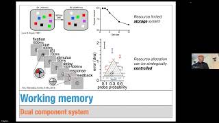 Storage and control mechanisms of human working memory, presented by Dr. Clay Curtis