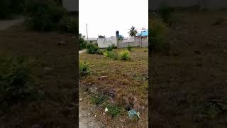 Plot for sale Tsh 16 millions at Matembele ya Pill, Ukonga Dar es salaam, plot size 700 sqm