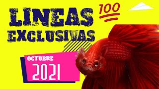 🚨Líneas Exclusivas Octubre 2021🔥🔥