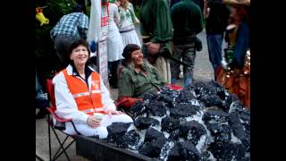 Power Past Coal Starlight Parade