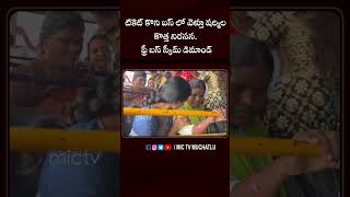 టికెట్ కొని షర్మిల కొత్త నిరసన ఫ్రీ బస్ స్కీమ్ డిమాండ్ #yssharmila #ysrcp #appolitics #shorts #viral