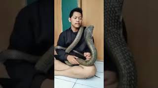 Snake Charmer‼️ Buddhist level:100 😬😑