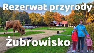 REZERWAT PRZYRODY ŻUBROWISKO | JANKOWICE | ZAGRODA ŻUBRÓW | 2022 | VLOG