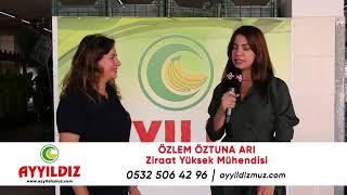 AYYILDIZ MUZ - TV8int