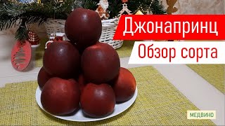 Яблоко Ред Джонапринц обзор сорта