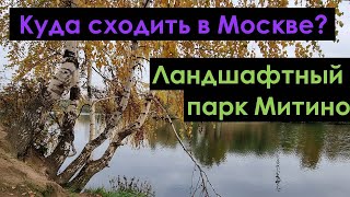 Куда пойти в Москве? Ландшафтный парк Митино #shorts