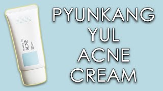 PYUNKANG YUL ACNE CREAM | review, skin test & INCI (ingredients)