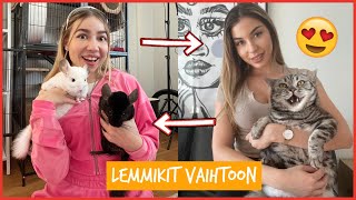 VAIHDETTIIN LEMMIKKEJÄ PÄIVÄKSI w/ NELLI ORELL 🐱😍