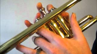 Learn to play G Major Scale on Trumpet