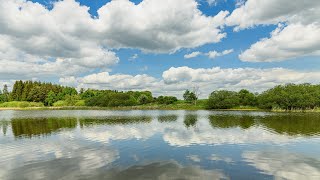 Clouds passing on blue sky over a pond, Czechia - time lapse [8K]