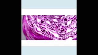 Red cabbage microgreens video