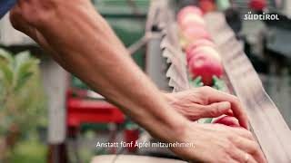 Gesunder Snack ohne Zusatzstoffe | Trockenobst aus Südtirol