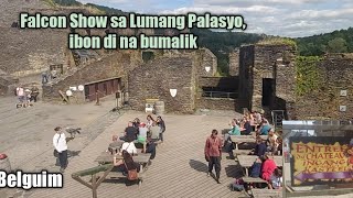 Falcon Show sa Lumang Palasyo, ibon di na bumalik