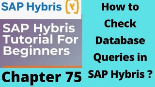 How to Check Queries That are Executed When an Object is Saved | How to Log DB Queries in SAP Hybris