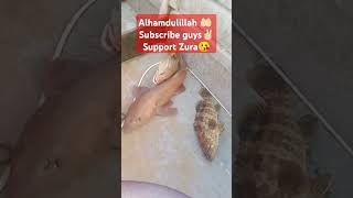 #alhamdulillah #kerja #laut #nelayan #indonesia #malaysia #subscribe #like #shorts#short#shortvideo