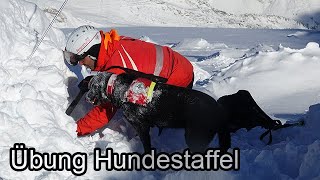 Jährliche Einsatzüberprüfung der Bergrettungshunde am Hintertuxer Gletscher