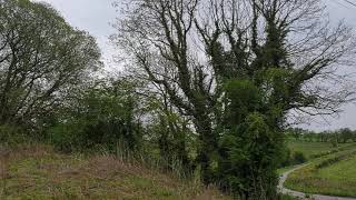 Me and my uncle have a walk on the old railway line.