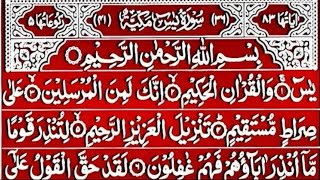 Surah Yaseen | Episode 96 | Daily Quran Tilawat Surah Rahman Surah Waqia Surah Mulk Full HD