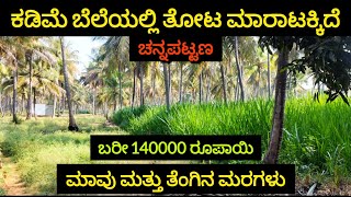 4 ACRE CHEAP PRICE FARM LAND SALE IN CHANNAPATNA,#farmland COCONUT&MANGO TREES #99acres #agriculture