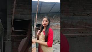 Mileson kothabor | Nilakshi Neog | New Assamese song | Pranami Borgohain #assam #youtube #shorts